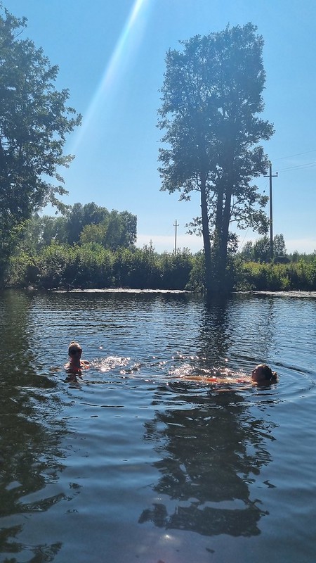 53888754783_b4227e8e12_c